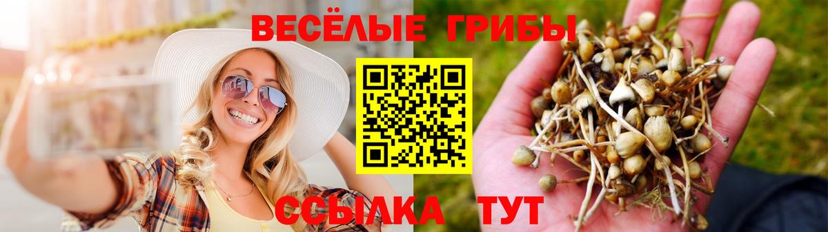 Чехов  Галлюциногенные грибы MAGIC MUSHROOMS  Вход с VPN 